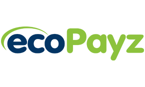Payz Logo